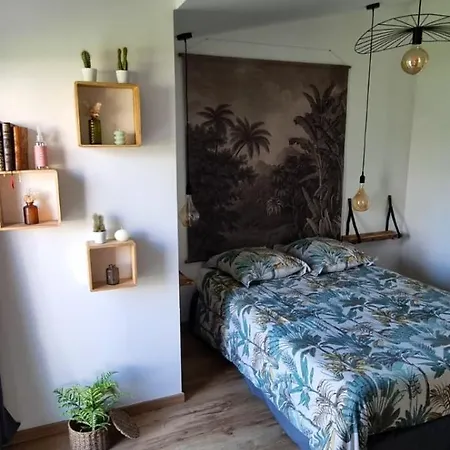 Ty Grain De Sel : Privatif Avec Piscine, Jardin Et Patio * Chauve