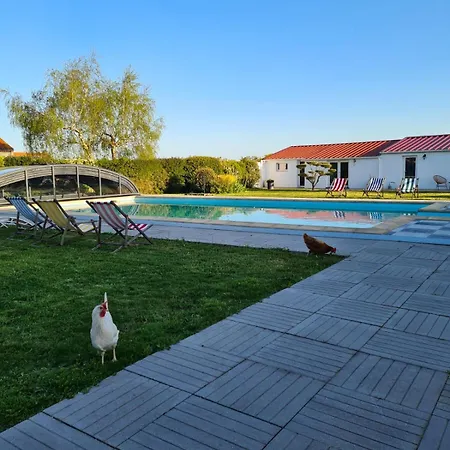 Ty Grain De Sel : Privatif Avec Piscine, Jardin Et Patio Prázdninový dům